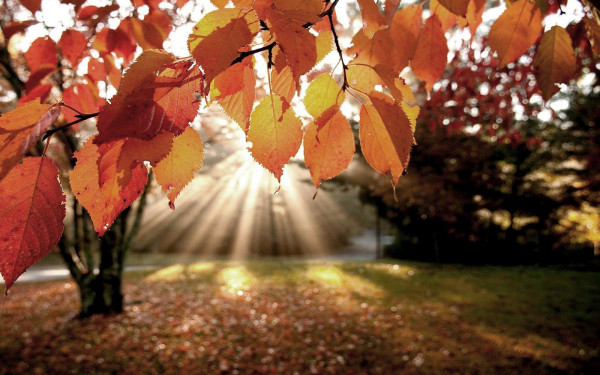 Schöne Herbstferien